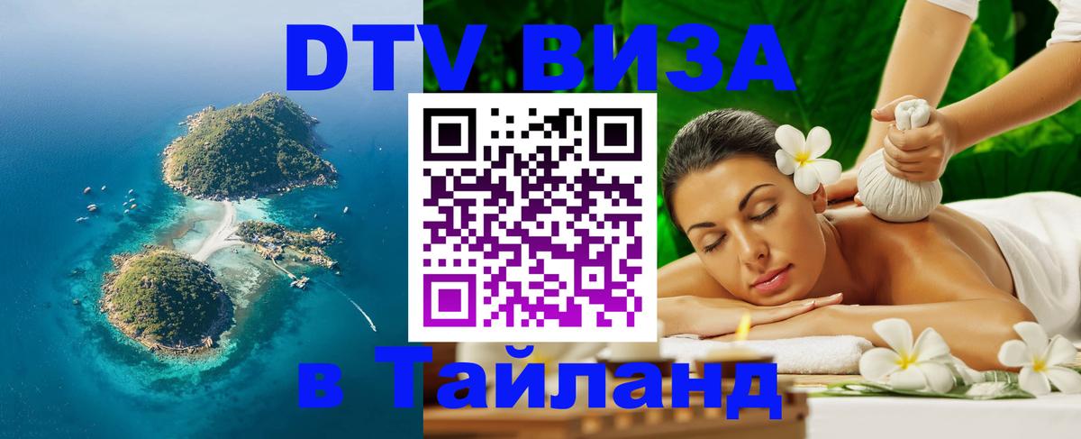 Сколько стоит DTV виза — актуальные цены, оформление даже без документов - Барнаул 